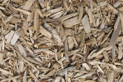 biomass boilers White Roothing Or White Roding